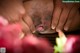 A close up of a person's hand holding a flower.